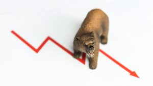 shutterstock 1378756661