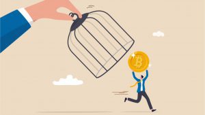 shutterstock 2004747491