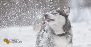 snowdog hit by 90 crash cover 768x403 1