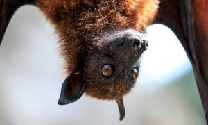 sonia nadales LFwLkMi8is unsplash 2 1000x600 1