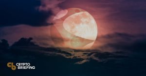 terra cover 1 768x403 1