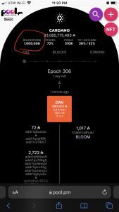 ADA staking 768x1365 1