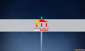BNB Banker1
