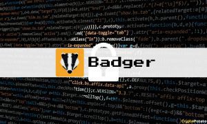 BadgerDAO Hack
