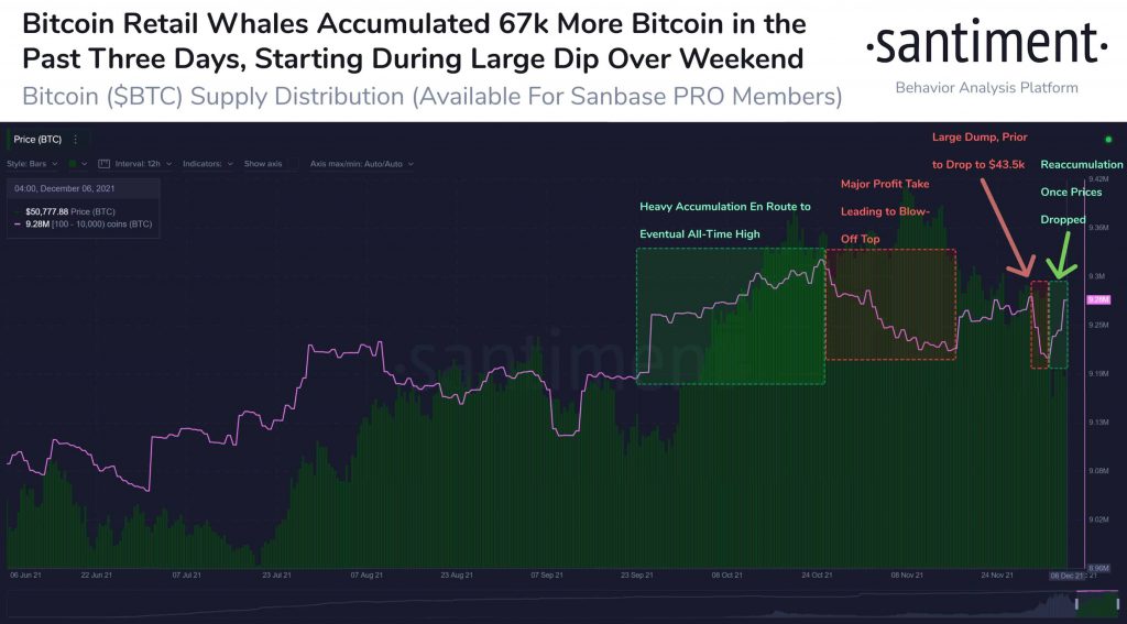 Bitcoin BTC Whale Accumulation