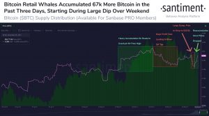 Bitcoin BTC Whale Accumulation