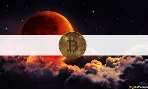 BitcoinMoon