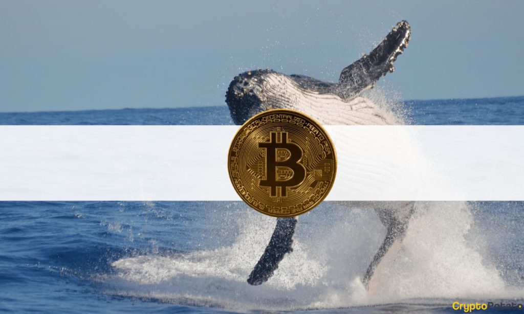 BitcoinWhale