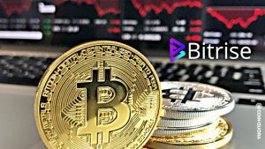 Bitrise Coin Cardano Solana