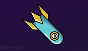 Bloomberg Report Reveals Gloomy Future For Ethereum Facilitated Meme Coin Shiba Inu 1