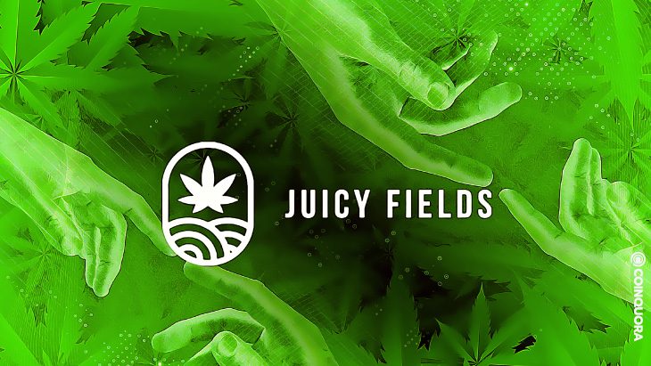Breaking Cannabis Barriers With JuicyFields: An Online Platform For Crowdgrowing 1 Breaking Cannabis Barriers With JuicyFields An Online Platform For