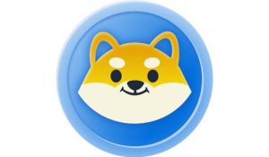 Canine Themed Token Mochi Inu MOCHI Bridges Gap Between DeFi And Meme Coins