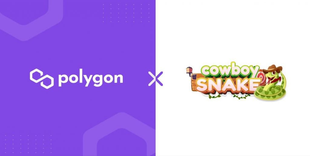 Cowboysnake x Polygon