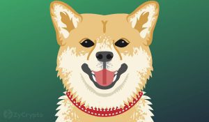 DOGE Shoots Up As Elon Musks New Twitter Picture Excites Legion Of Dogecoin Fans