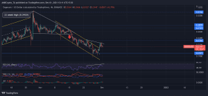 DOGEUSD 2021 12 01 12 10 35