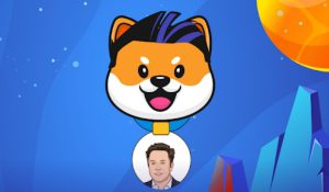 Dogemania New Community for Doge Themed Tokens Goes Live