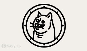 Elon Musk Wants Dogecoin On Coinbase Following Teslas BTC Buy Via The Exchange