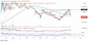 FLOKIUSDT 2021 12 04 08 39 00