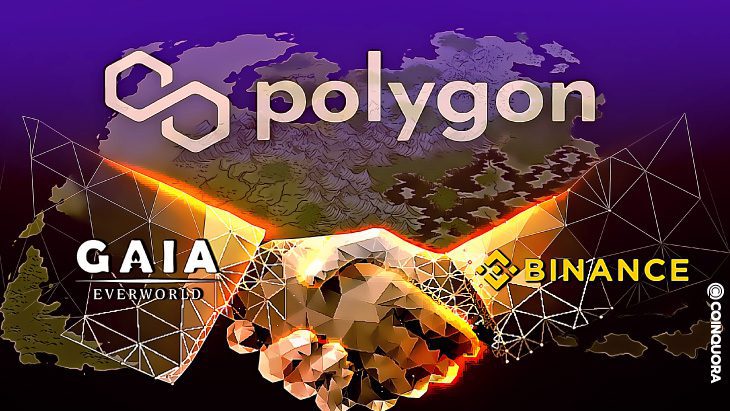 Gaia EverWorld Secures Polygon Grant and Partners With Binance for Its NFT Pre sale