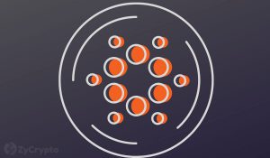 Incredible Achievement For Cardano As First Plutus Smart Contract Successfully Runs On AlonzoBlue Testnet