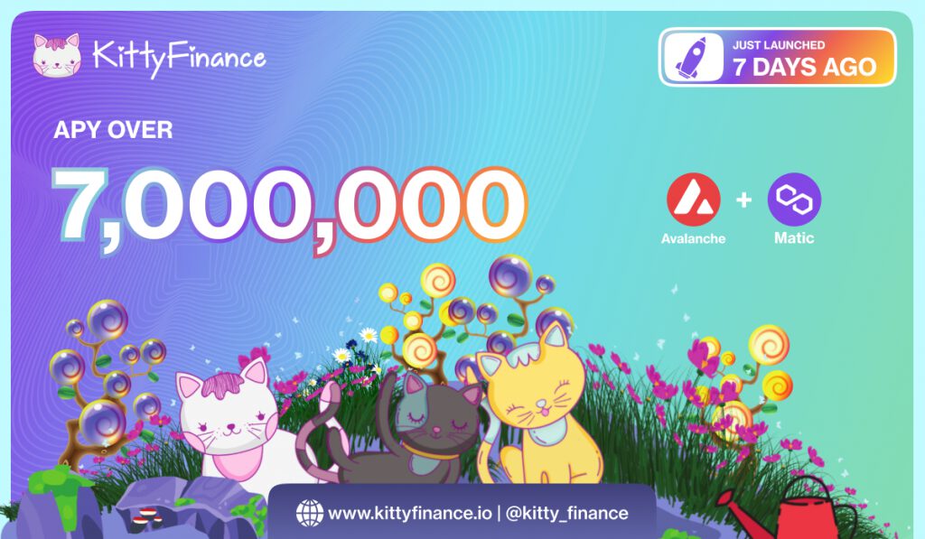 Kitty Finance