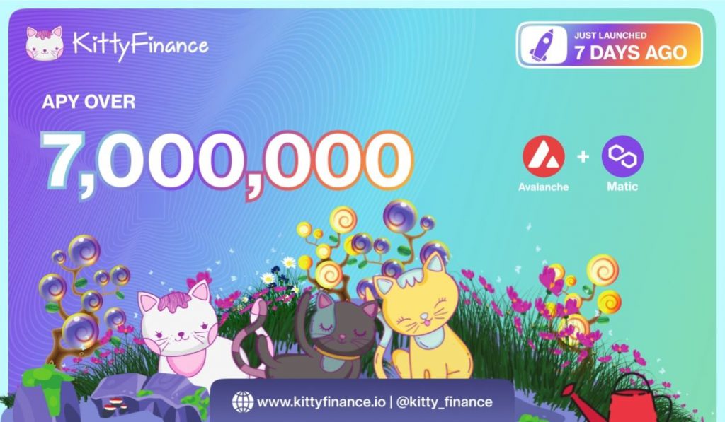 Kitty Finance Projected To Reach Over 50M TVL Over The Next 30 Days