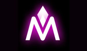 MetaMall Announces 4.6 Million Seed Strategic and Private Sale Rounds