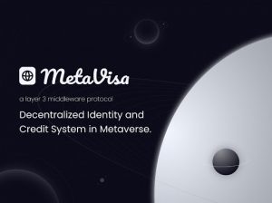 MetaVisa