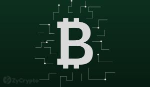 Satoshi Nakamoto Mined Nearly 11 Billion Dollars Worth Of BTC