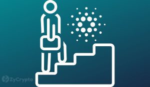 Scoring Milestones Cardano is One Step Closer to Launching its Shelley Mainnet 1