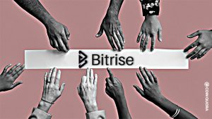 Shiba Inu Next Bitrise Community Growing Exponentially