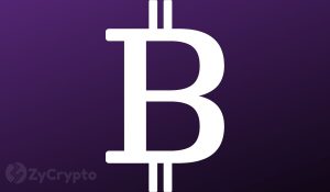 Twitter CEO Jack Dorsey Thinks Bitcoin Remains The Best Positioned To Serve As The Internets Native Currency