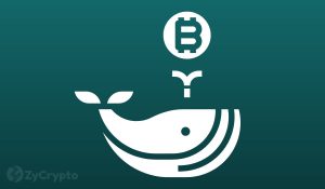 Why Whales Movements Have Yet to Fully Reflect on Bitcoins Price Action