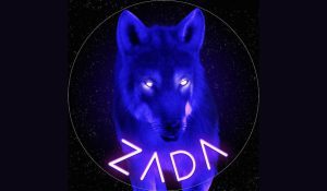 ZADA The First Of Its Kind A Hybrid Portfolio Builder