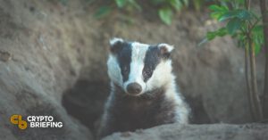 badgerdao suffers attack cover 768x403 1