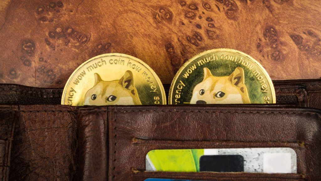 binance doge