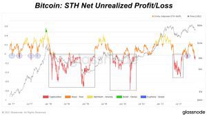 bitcoin sth net unrealized profitloss