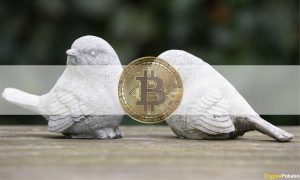 bitcoin rejected cover