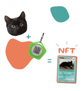 blockchain pet based company pawtocol announces listing on bitmart exchange