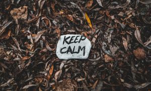 cory GpK9rIM2EIA unsplash 1000x600 1