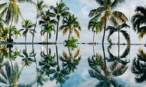 dan freeman wAn4RfmXtxU unsplash 2 1000x600 1