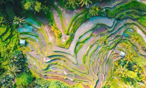 jason cooper XEhchWQuWyM unsplash 2 1000x600 1