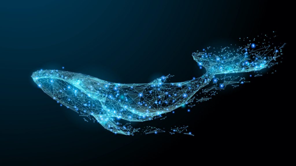 monster sized bitcoin whale transfers blockchain parser catches significant amounts of cold btc moved to active exchanges