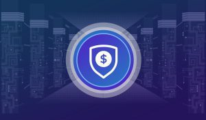 photo 2021 12 13 19.38.52