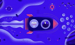 photo 2021 12 15 13 09 10 1000x600 1