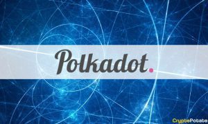 polkadot cover 1