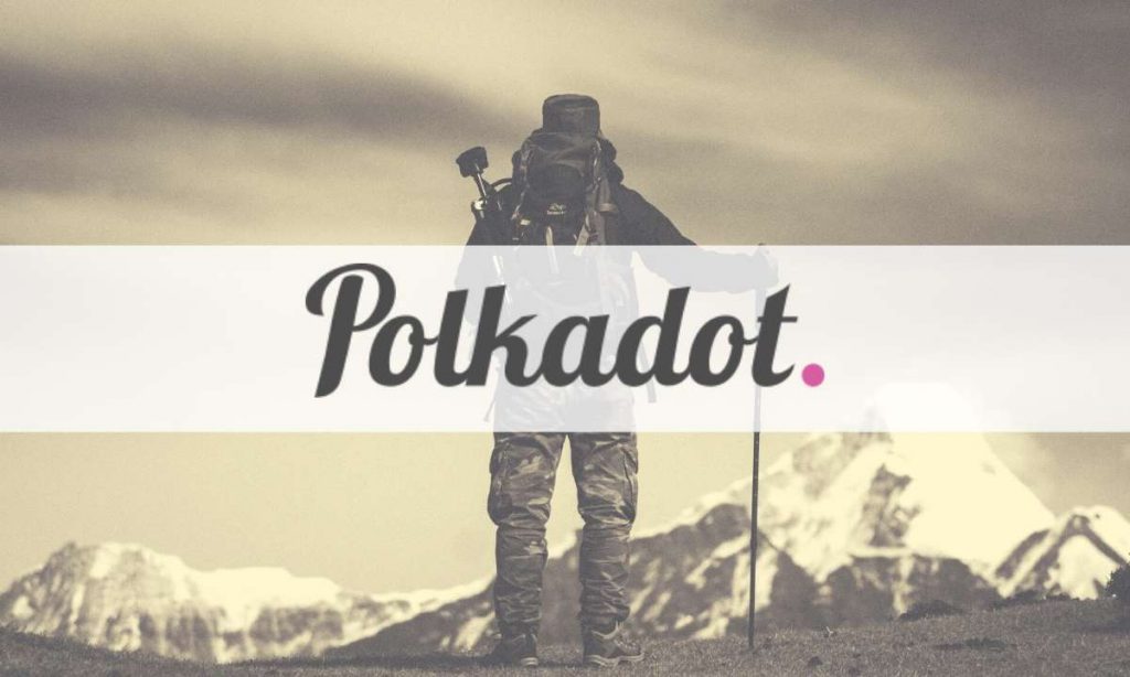 polkadot mw cover