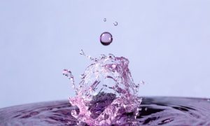 robert anderson 0URG9Zya Kw unsplash 2 1000x600 1