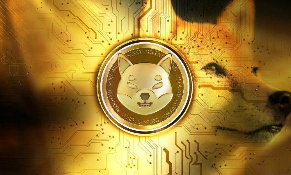 shiba g8f6d3c40f 1280 1000x600 1