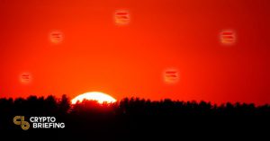 solana sunset tree cover 768x403 1